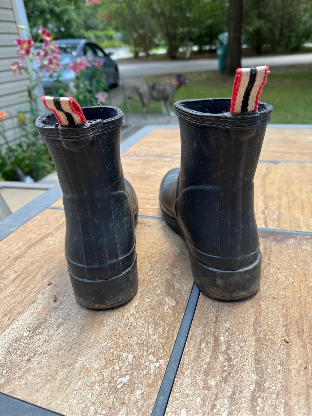 Hunter Women Short Black Rain Boots with Red Heel Pull